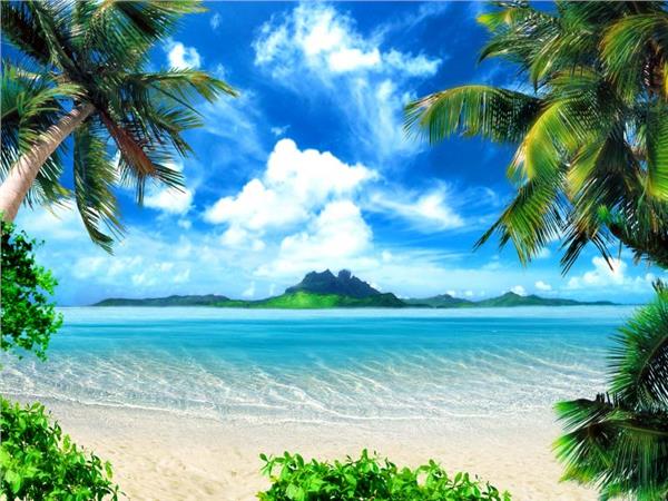 Turquoise Sea and Palm Trees Scenery Wallpaper by MywallpaperSho