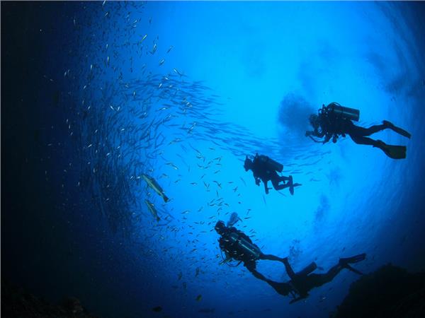 Underwater World Sea Scenery Wallpaper by MywallpaperSho