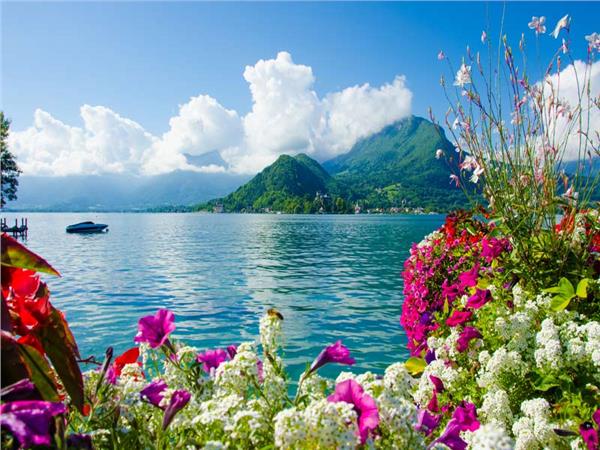 Flower Village Sea Scenery Wallpaper by MywallpaperSho