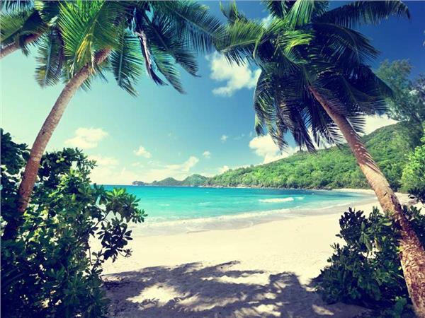 Palm Trees Coast Sea Scenery Wallpaper by MywallpaperSho