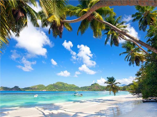 Palm Trees Coast Sea Scenery Wallpaper by MywallpaperSho