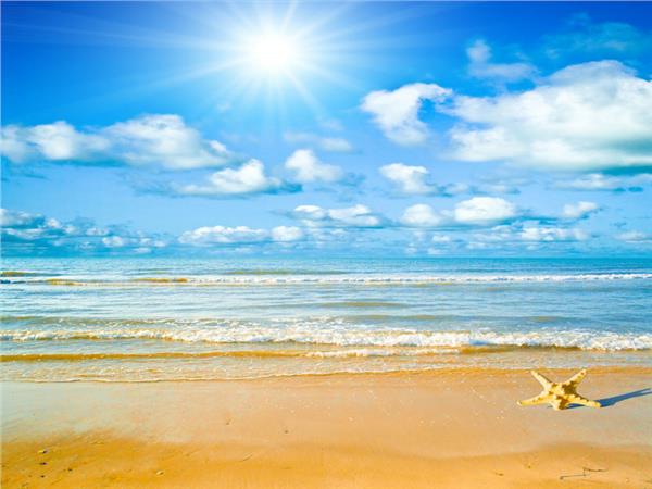 Sea Star Scenery Wallpaper by MywallpaperSho