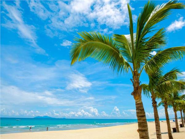 Palm Trees Coast Sea Scenery Wallpaper by MywallpaperSho