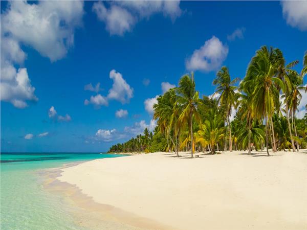 Palm Trees Coast Sea Scenery Wallpaper by MywallpaperSho