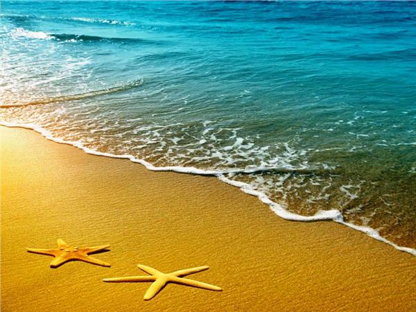 Sea Star Scenery Wallpaper by MywallpaperSho
