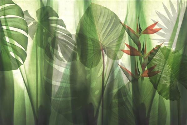 Leaf Design Big Green Leaflar Wallpaper by MywallpaperShop