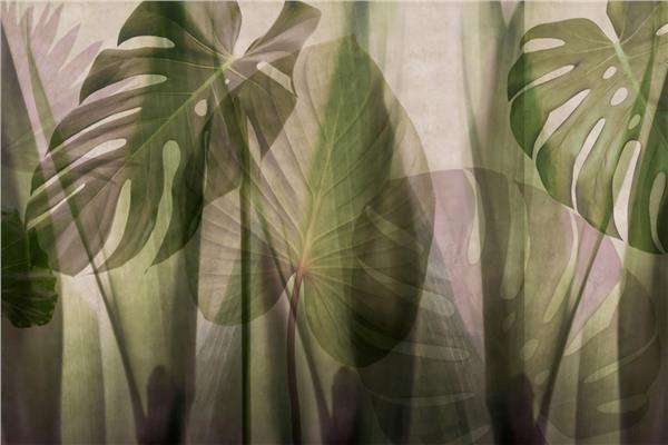 Big Palm Tree Leaves Wallpaper by MywallpaperShop