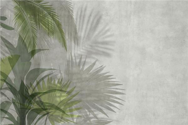Leaf Design Big Palm Tree Leaflari Wallpaper by MywallpaperShop