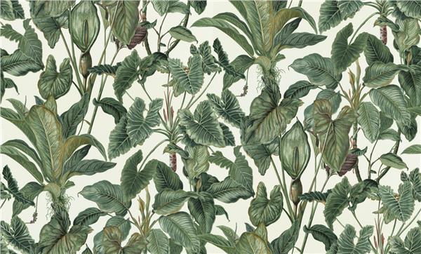 Green Leaves Wallpaper by MywallpaperShop