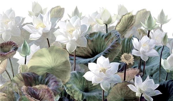 Leaf Design Green Leaves White Flowers Wallpaper by MywallpaperShop