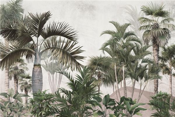 Palm Tree Treelari Wallpaper by MywallpaperShop