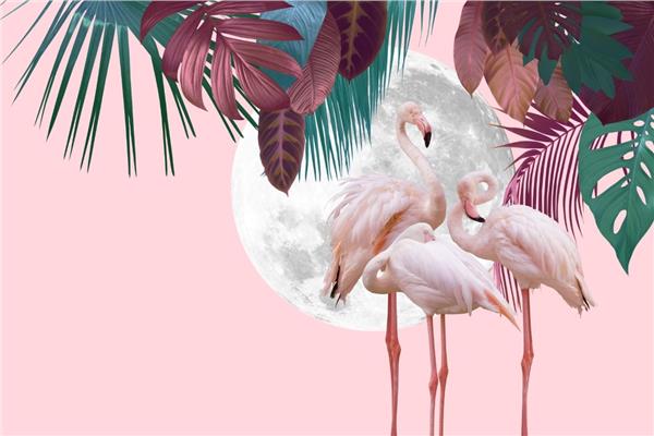 White Flamingo Wallpaper by MywallpaperShop