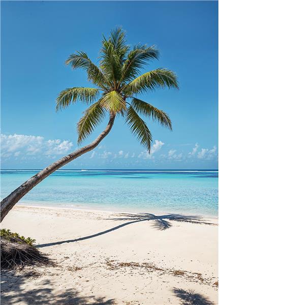 Denize Uzanan Palm Tree Treei Wallpaper by MywallpaperShop