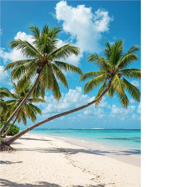 Denize Uzanan Palm Tree Treelari 3D Wallpaper by MywallpaperShop