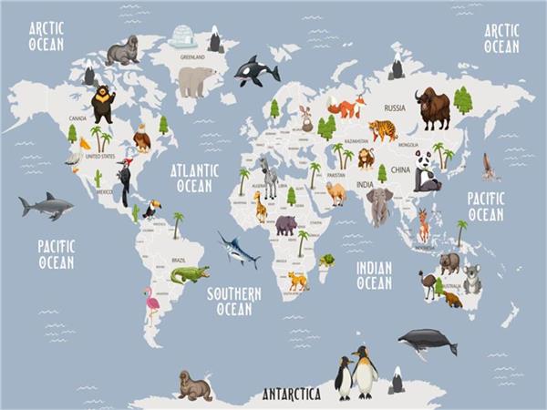 World Map Kids Room Wallpaper by MywallpaperShop