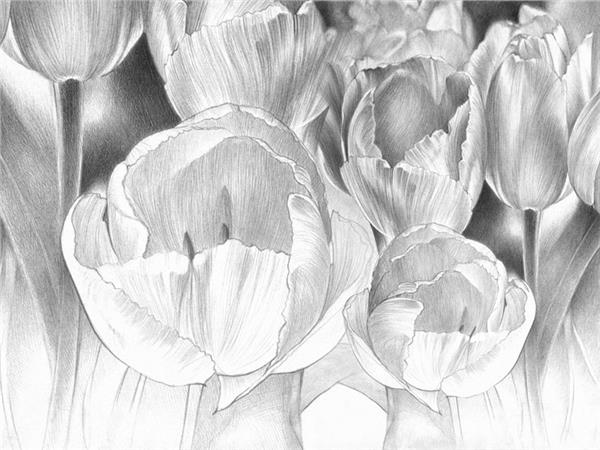 Floral Custom Design Wallpaper by MywallpaperShop