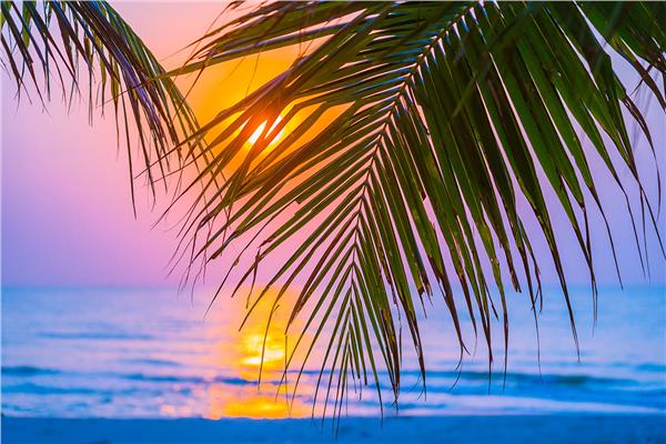 Sun Sunset Sea Scenery Wallpaper by MywallpaperShop