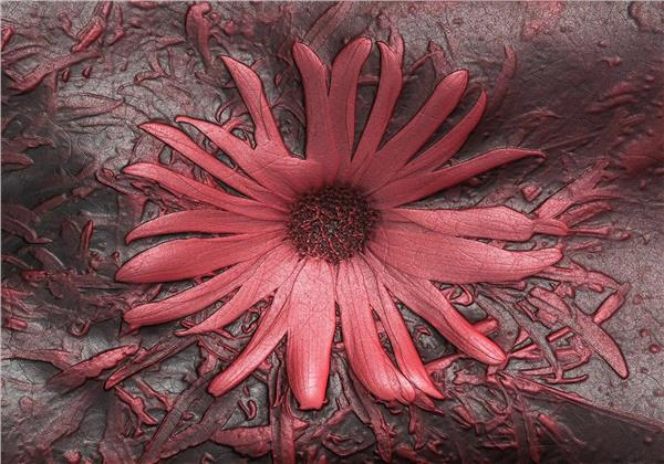 Red Flower 3D Wallpaper by MywallpaperShop