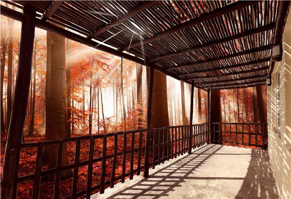 Red Forest Scenery Wallpaper by MywallpaperShop