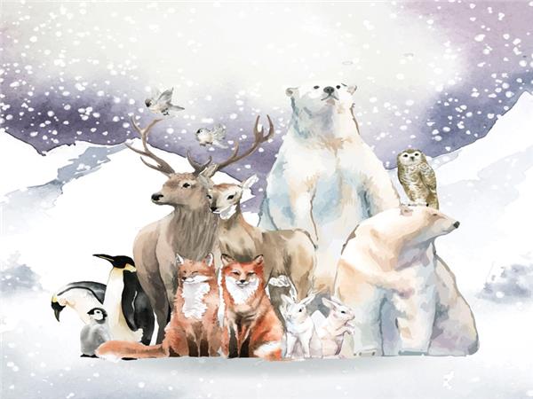 Kuzey Kutup Folks Kids Room Wallpaper by MywallpaperShop