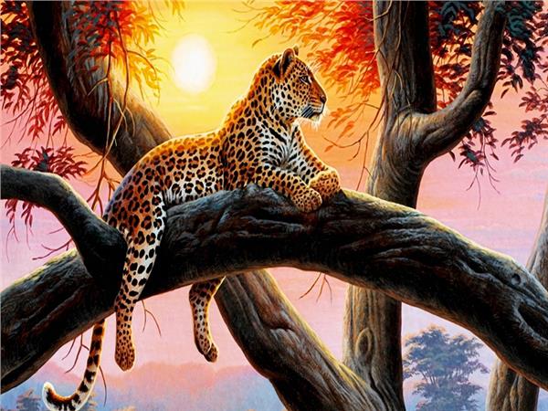 Leopar Design Wallpaper by MywallpaperShop