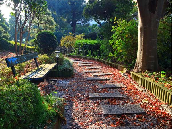 Nature Scenery 065 Wallpaper by MywallpaperShop