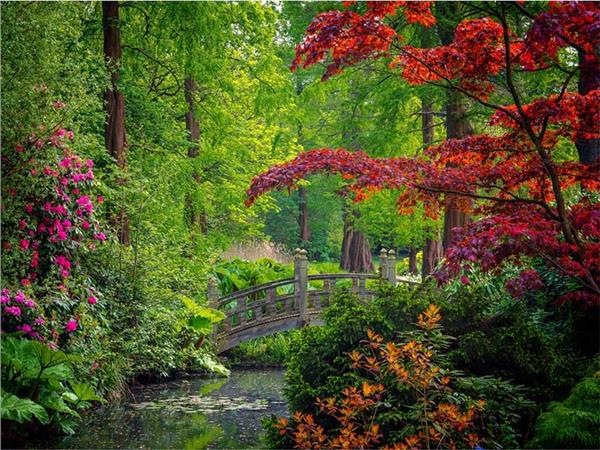 Nature Scenery 066 Wallpaper by MywallpaperShop