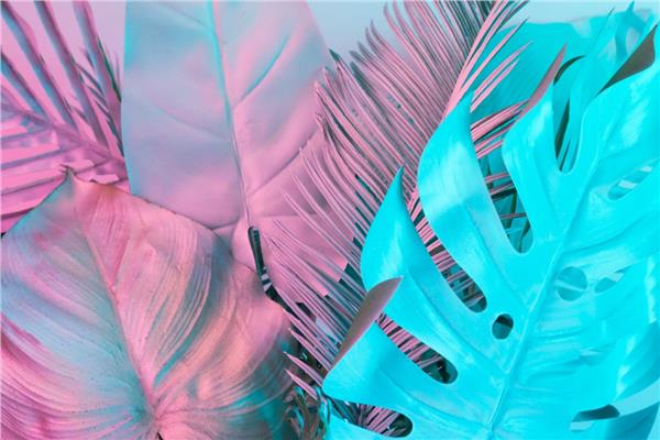 Palm Tree Leaves Wallpaper by MywallpaperShop