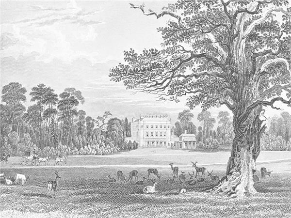 Monochrome Nature Wallpaper by MywallpaperShop