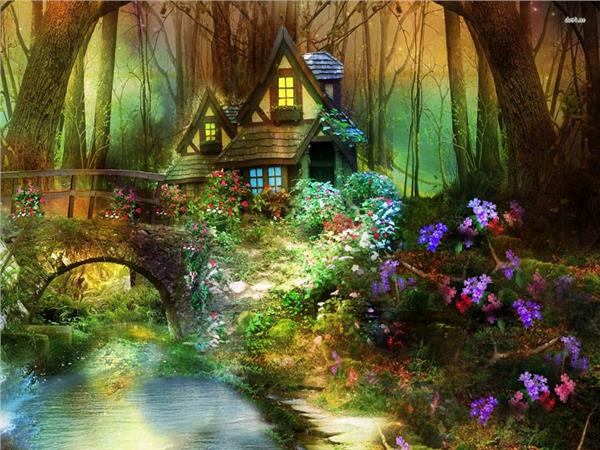 Forest Evi Kids Room Wallpaper by MywallpaperShop