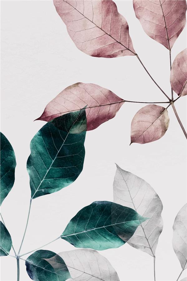 Leaf Design Wallpaper by MywallpaperShop