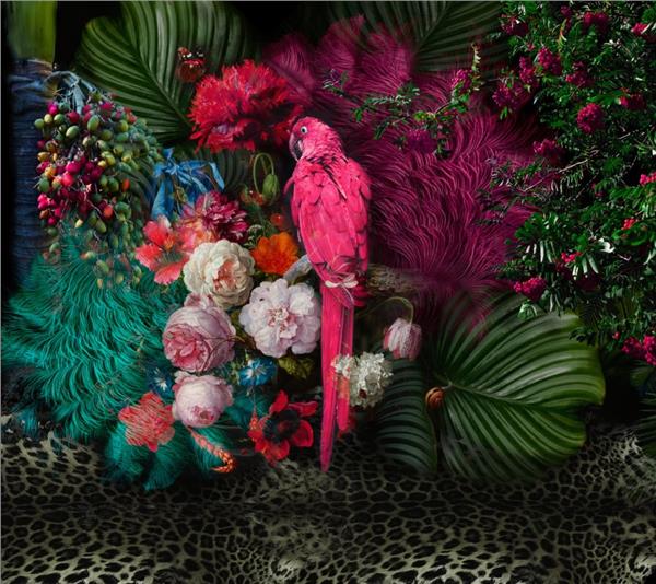 Parrot and Tropical Leaflar Design Wallpaper by MywallpaperShop