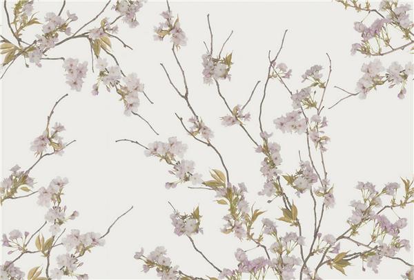 Pink Flower Wallpaper by MywallpaperShop