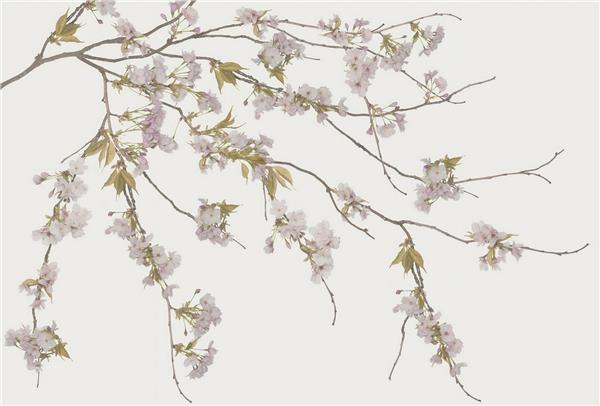 Pink Flower Wallpaper by MywallpaperShop