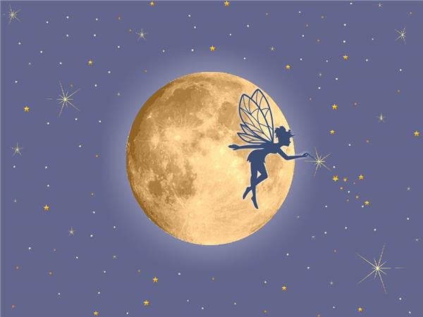 Fairy Girl and Ay Custom Design Kids Room Wallpaper by MywallpaperShop