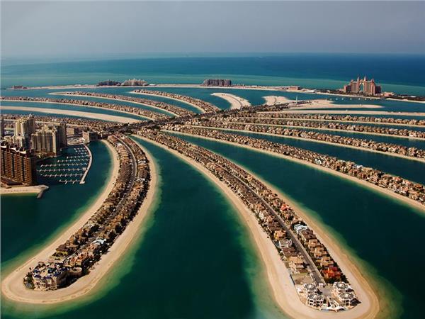Dubai Palm Tree Adasi 089 Wallpaper by MywallpaperSho