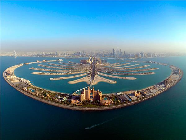 Dubai Palm Tree Adasi 094 Wallpaper by MywallpaperSho