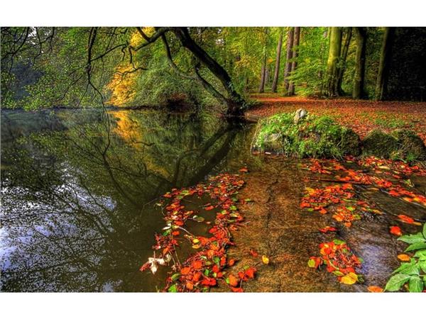 Autumn Scenery 3D Wallpaper by MywallpaperShop