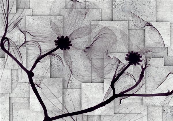Black White Flower Wallpaper by MywallpaperShop