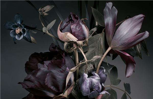 Black Flower Wallpaper by MywallpaperShop