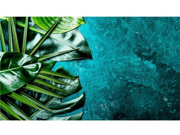 Tropical Leaves 3D Wallpaper by MywallpaperShop