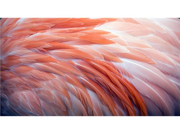 Tuyler Custom Design Wallpaper by MywallpaperShop