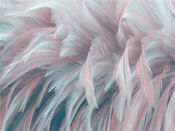 Tuyler Custom Design Wallpaper by MywallpaperShop
