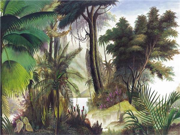 Tropical Treelar and Leaflar Wallpaper by MywallpaperShop