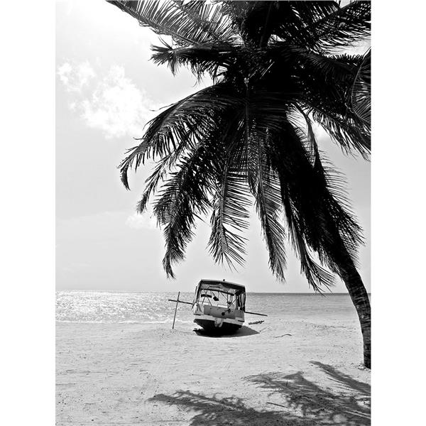 Tropical Treeli Wallpaper by MywallpaperShop