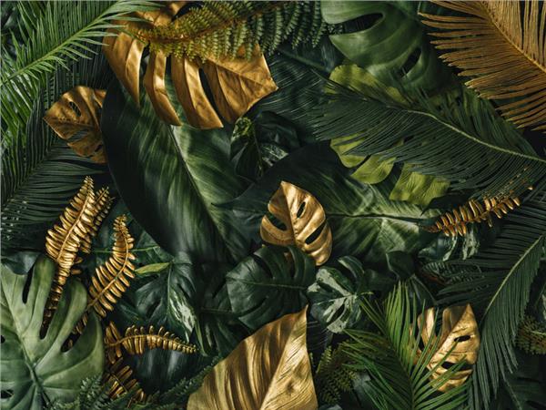Tropical Design 3D Wallpaper by MywallpaperShop
