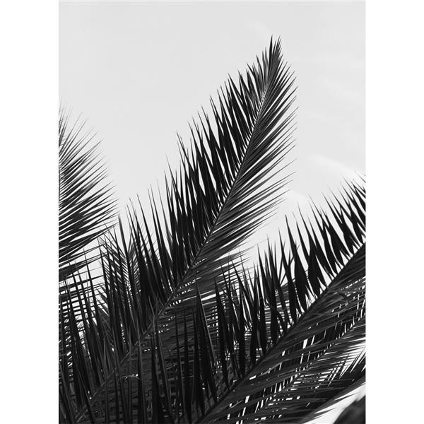 Tropical Wallpaper by MywallpaperShop