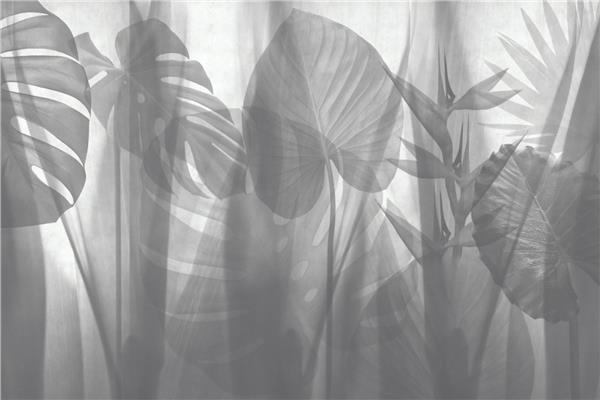 Tropical Palm Big Leaflar 3D Wallpaper by MywallpaperShop