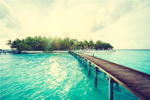 Tropical Leaflar 3D Wallpaper by MywallpaperShop