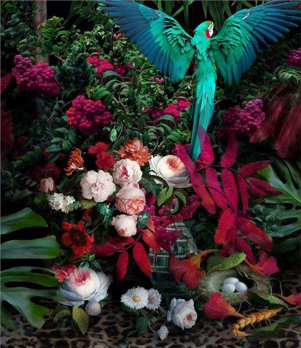 Tropical Parrot and Flowers Wallpaper by MywallpaperShop